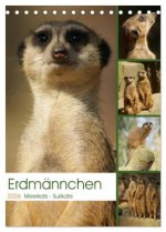 Erdmännchen-Meerkats-Surikate (Tischkalender 2026 DIN A5 hoch), CALVENDO Monatskalender