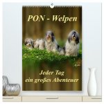 PON-Welpen - jeder Tag ein großes Abenteuer / Planer (hochwertiger Premium Wandkalender 2026 DIN A2 hoch), Kunstdruck in Hochglanz