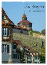 Esslingen in Hochform (Wandkalender 2026 DIN A2 hoch), CALVENDO Monatskalender