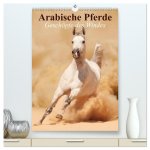 Arabische Pferde - Geschöpfe des Windes (hochwertiger Premium Wandkalender 2026 DIN A2 hoch), Kunstdruck in Hochglanz
