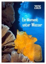 Ein Moment unter Wasser (Wandkalender 2026 DIN A2 hoch), CALVENDO Monatskalender