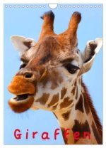 Giraffen (Wandkalender 2026 DIN A4 hoch), CALVENDO Monatskalender