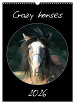 Crazy horses (Wandkalender 2026 DIN A3 hoch), CALVENDO Monatskalender