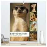 Erdmännchen-Meerkats-Surikate (hochwertiger Premium Wandkalender 2026 DIN A2 hoch), Kunstdruck in Hochglanz