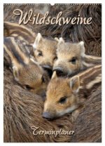 Wildschweine (Wandkalender 2026 DIN A2 hoch), CALVENDO Monatskalender