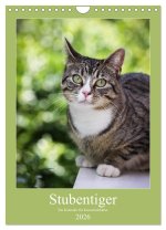 Stubentiger (Wandkalender 2026 DIN A4 hoch), CALVENDO Monatskalender