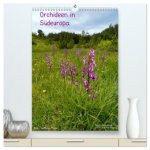 Orchideen in Südeuropa (hochwertiger Premium Wandkalender 2026 DIN A2 hoch), Kunstdruck in Hochglanz
