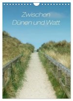 Zwischen Dünen und Watt / Geburtstagskalender (Wandkalender 2026 DIN A4 hoch), CALVENDO Monatskalender