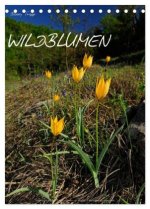 WILDBLUMEN (Tischkalender 2026 DIN A5 hoch), CALVENDO Monatskalender
