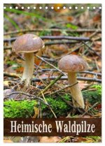 Heimische Waldpilze (Tischkalender 2026 DIN A5 hoch), CALVENDO Monatskalender