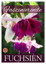 Faszinierende Fuchsien (Wandkalender 2026 DIN A2 hoch), CALVENDO Monatskalender