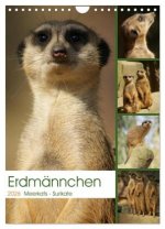 Erdmännchen-Meerkats-Surikate (Wandkalender 2026 DIN A4 hoch), CALVENDO Monatskalender