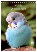 Wilde Wellensittiche (Tischkalender 2026 DIN A5 hoch), CALVENDO Monatskalender