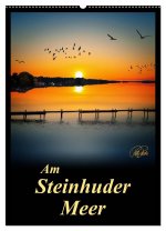 Am Steinhuder Meer / Planer (Wandkalender 2026 DIN A2 hoch), CALVENDO Monatskalender