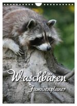 Waschbären Familienplaner (Wandkalender 2026 DIN A4 hoch), CALVENDO Monatskalender