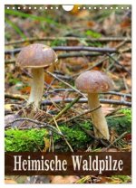 Heimische Waldpilze (Wandkalender 2026 DIN A4 hoch), CALVENDO Monatskalender
