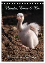 Nandu, Emu & Co. (Tischkalender 2026 DIN A5 hoch), CALVENDO Monatskalender