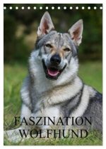 Faszination Wolfhund (Tischkalender 2026 DIN A5 hoch), CALVENDO Monatskalender