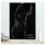 Erotische Silhouetten / CH-Version (hochwertiger Premium Wandkalender 2026 DIN A2 hoch), Kunstdruck in Hochglanz