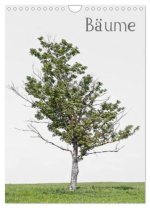 Bäume (Wandkalender 2026 DIN A4 hoch), CALVENDO Monatskalender