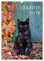 COUNTRY CATS (Wandkalender 2026 DIN A3 hoch), CALVENDO Monatskalender