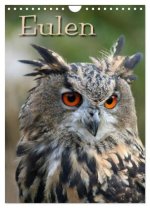 Eulen (Wandkalender 2026 DIN A4 hoch), CALVENDO Monatskalender
