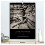 Akt im Sternenstaub EvE fotografiert von Rainer Matthias Gillessen (hochwertiger Premium Wandkalender 2026 DIN A2 hoch), Kunstdruck in Hochglanz
