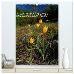 WILDBLUMEN (hochwertiger Premium Wandkalender 2026 DIN A2 hoch), Kunstdruck in Hochglanz