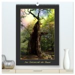 Das Seelenlicht der Bäume (hochwertiger Premium Wandkalender 2026 DIN A2 hoch), Kunstdruck in Hochglanz
