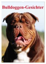 Bulldoggen-Gesichter (Wandkalender 2026 DIN A2 hoch), CALVENDO Monatskalender