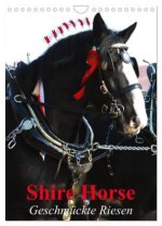 Shire Horse - Geschmückte Riesen (Wandkalender 2026 DIN A4 hoch), CALVENDO Monatskalender