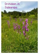 Orchideen in Südeuropa (Wandkalender 2026 DIN A3 hoch), CALVENDO Monatskalender