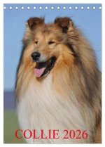 Collie 2026 (Tischkalender 2026 DIN A5 hoch), CALVENDO Monatskalender