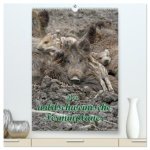 Der wildschweinische Terminplaner (hochwertiger Premium Wandkalender 2026 DIN A2 hoch), Kunstdruck in Hochglanz
