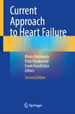 Current Approach to Heart Failure