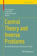 Control Theory and Inverse Problems