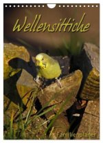Wellensittiche (Wandkalender 2026 DIN A4 hoch), CALVENDO Monatskalender