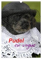 Pudel en vogue (Wandkalender 2026 DIN A3 hoch), CALVENDO Monatskalender