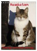 Hauskatzen (Tischkalender 2026 DIN A5 hoch), CALVENDO Monatskalender
