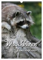 Waschbären Familienplaner (Wandkalender 2026 DIN A3 hoch), CALVENDO Monatskalender