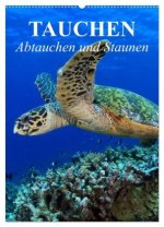 Tauchen - Abtauchen und Staunen (Wandkalender 2026 DIN A2 hoch), CALVENDO Monatskalender