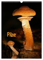 Pilze (Wandkalender 2026 DIN A3 hoch), CALVENDO Monatskalender