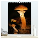 Pilze (hochwertiger Premium Wandkalender 2026 DIN A2 hoch), Kunstdruck in Hochglanz