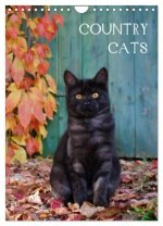 COUNTRY CATS (Wandkalender 2026 DIN A4 hoch), CALVENDO Monatskalender