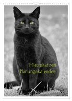 Miezekatzen Planungskalender (Wandkalender 2026 DIN A3 hoch), CALVENDO Monatskalender