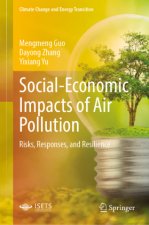 Social-Economic Impacts of Air Pollution