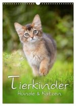 Tierkinder Hunde und Katzen (Wandkalender 2026 DIN A3 hoch), CALVENDO Monatskalender