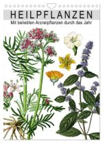 Heilpflanzen (Wandkalender 2026 DIN A4 hoch), CALVENDO Monatskalender