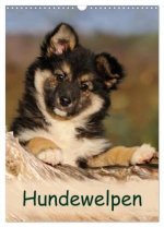 Hundewelpen (Wandkalender 2026 DIN A3 hoch), CALVENDO Monatskalender