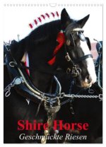 Shire Horse - Geschmückte Riesen (Wandkalender 2026 DIN A3 hoch), CALVENDO Monatskalender